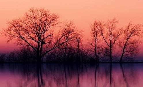 一2寸照片的尺寸是多少
