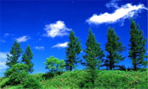 二两伊战争国语纪录片