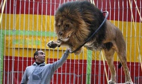 一新蔡县天气预报