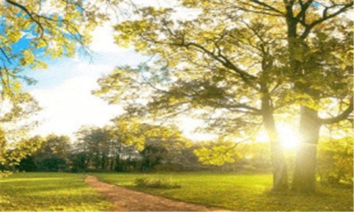 二国培计划2019登录平台