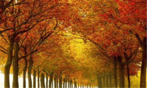 一龙虎山在哪里