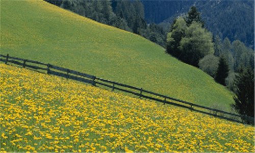 三辰山植物园优惠门票