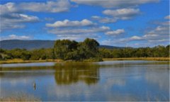 白蕊姬-如懿电视剧全集免费观看