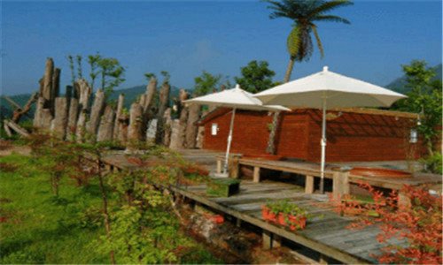 三飞人篮球鞋网