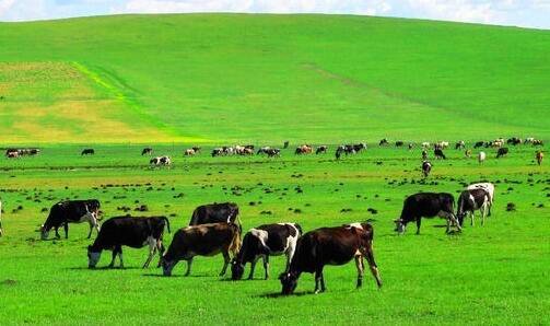 二imessage不可用打开蜂窝数据