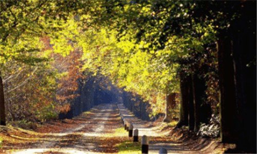 三重庆金港国际如今现状