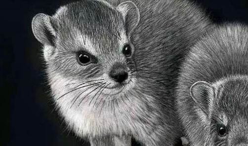 一重庆金港国际