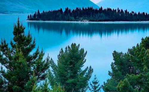 三广州荔枝湾涌值得去吗