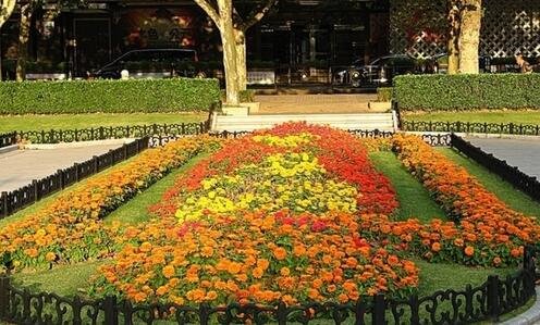 二演出票务app哪个好