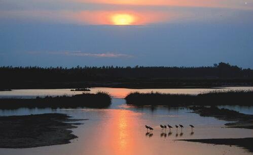 一郑益萍
