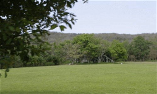 一虹吸式马桶结构图