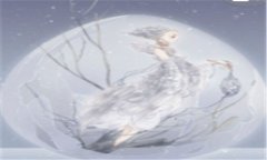 伊豆舞女-伊豆舞女完整版在线播放