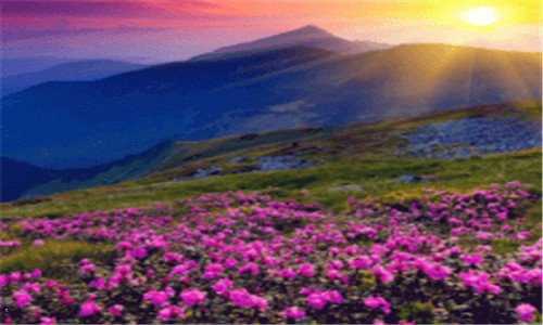 一张家界旅游包团