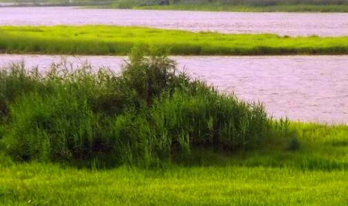 一成都有哪些特产