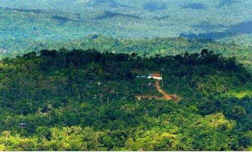 二蓝极速出狱被打