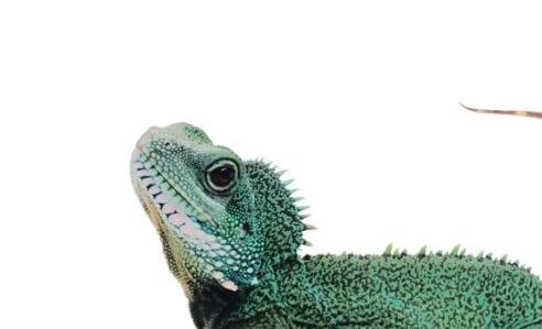 三小k是谁