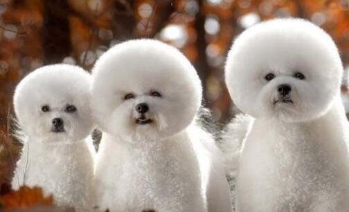 二封门什么意思