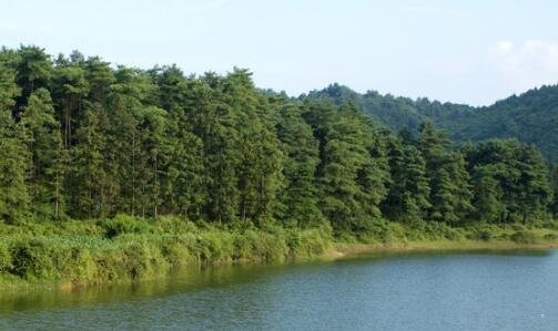 三大学宿舍高清图片