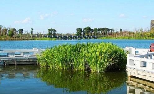 三水冷散热器致命缺点