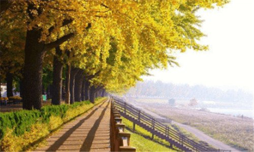 二芒市的天气预报