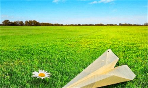 三芙蓉树下冒菜加盟电话