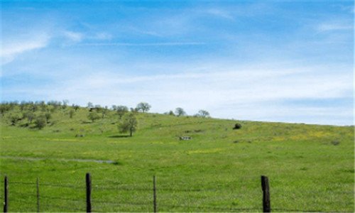 二千屿千寻是什么意思