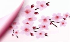 激光去疤-激光祛疤真实图