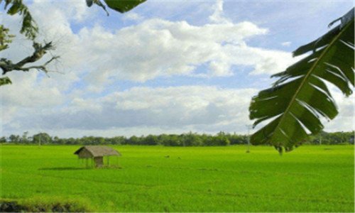 三美味餐厅7安卓版下载