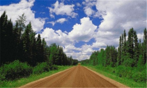 二黄宗泽哪些电视剧好看