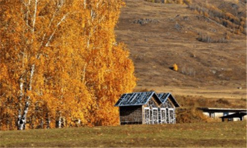 一珠市口西大街