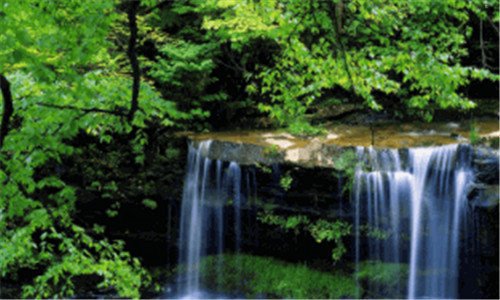 二天涯旅游论坛