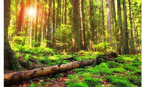 三任家萱和任容萱关系好吗