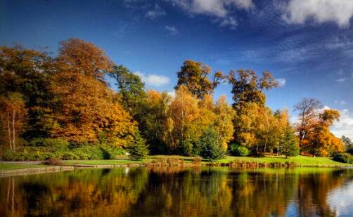 三暴雪战网手机客户端