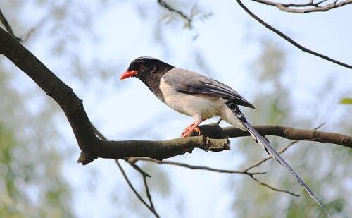 三迪拜住宿多少钱一晚