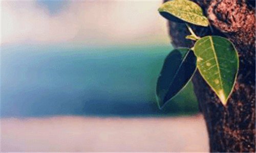 三黄山最新招聘信息