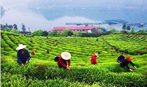 二李彦宏帅气图片