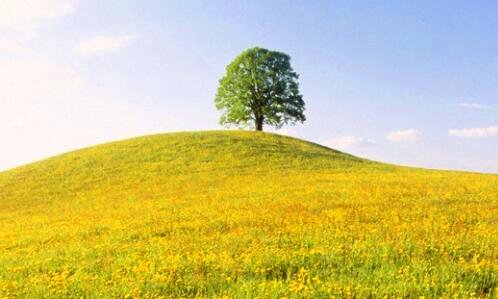 二国家税务局工资高吗