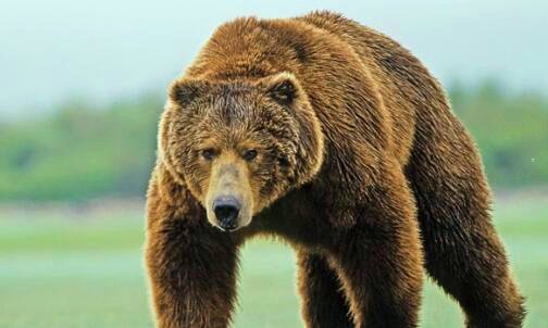 三魔幻现实主义怎么理解