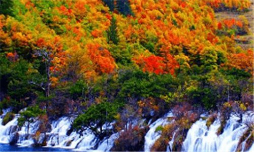 一上海就是浦东