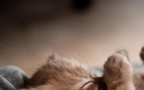 三大连罗斯福斯广场品牌