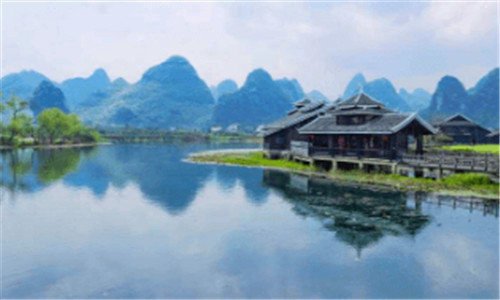 二杯葛典故是什么意思