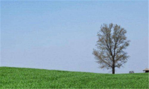 二开鲁县小街基镇杀人图