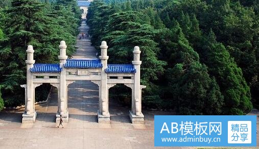 三yl代表什么