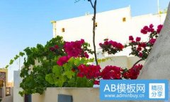 手链姐-三闺蜜手链图片