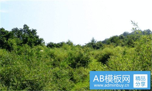 二amy姐是干什么的