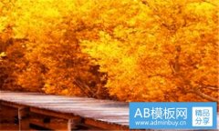 青岛旅游网-青岛自助旅游网