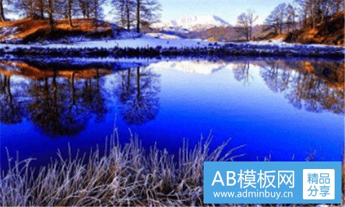 二柠檬影视
