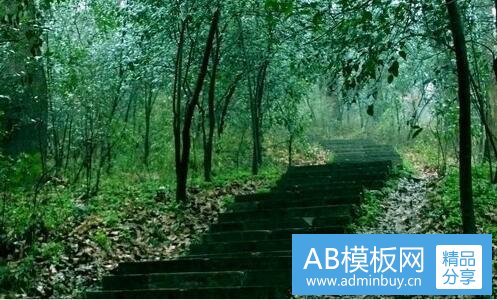 三desires是什么店