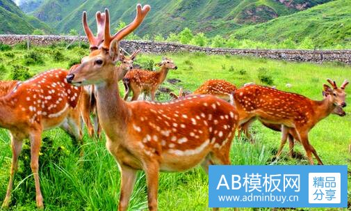 三恒热热水器结构图