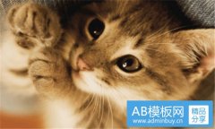 北广之星-北广之星和中影哪个好